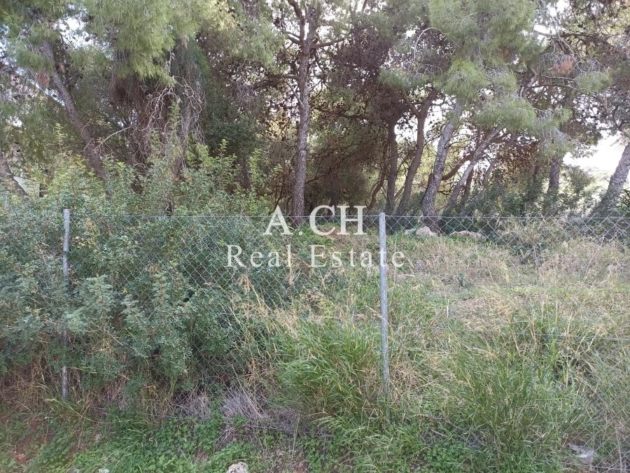 (For Sale) Land Plot || East Attica/Saronida - 752 Sq.m, 500.000€ 