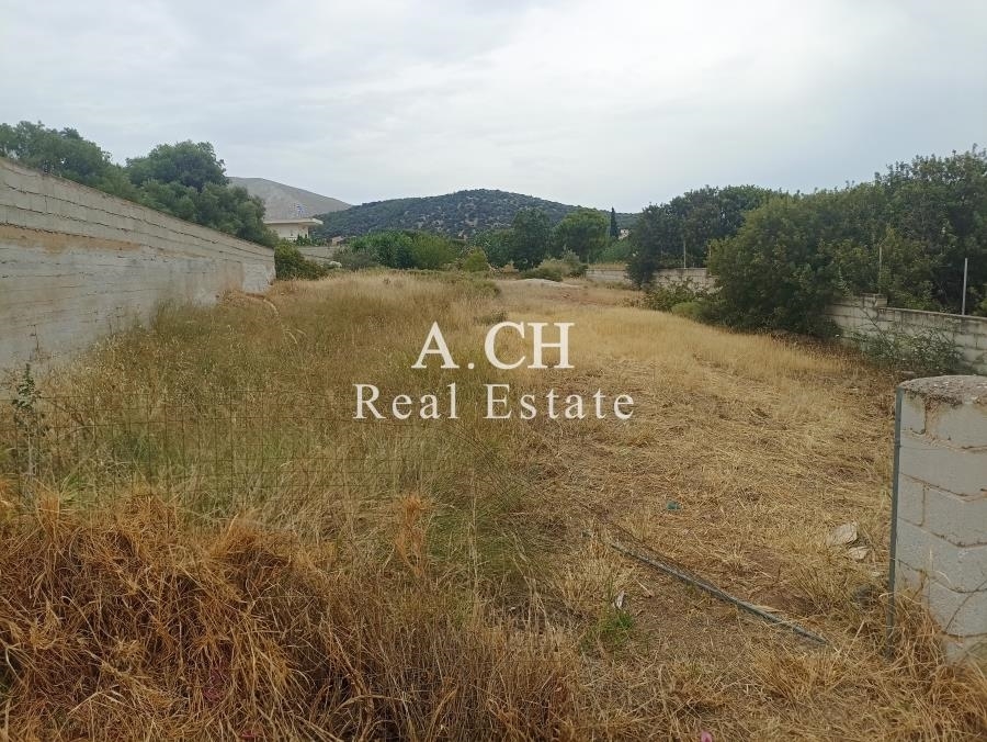 (For Sale) Land Plot || East Attica/Kalyvia-Lagonisi - 590 Sq.m, 220.000€ 