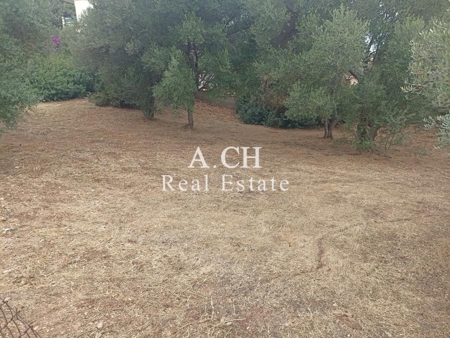 (For Sale) Land Plot || East Attica/Saronida - 869 Sq.m, 500.000€ 