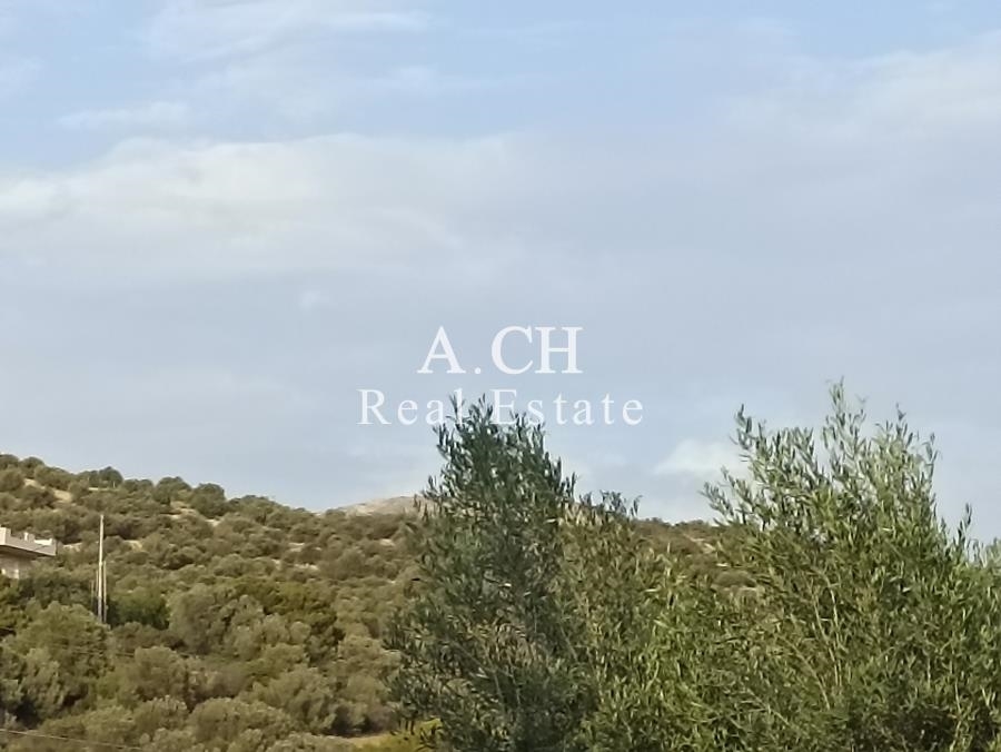 (For Sale) Land Plot || East Attica/Kalyvia-Lagonisi - 227 Sq.m, 80.000€ 