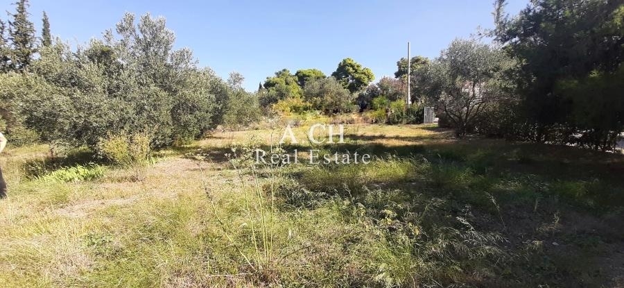 (For Sale) Land Plot || East Attica/Koropi - 1.360 Sq.m, 380.000€ 