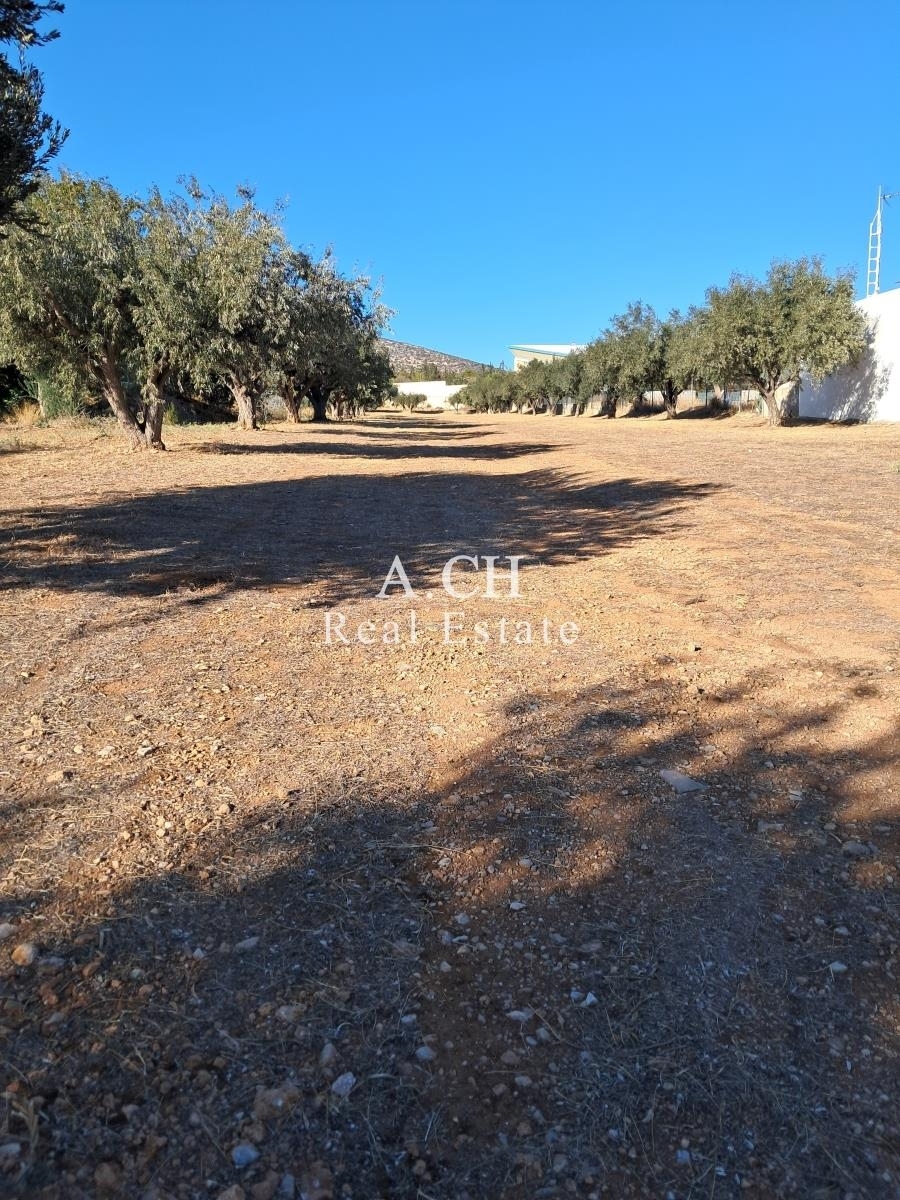 (For Sale) Land Agricultural Land  || East Attica/Vari-Varkiza - 5.077 Sq.m, 300.000€ 